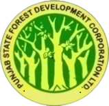 PSFDC